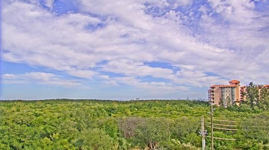 Weather camera view of WTSP-TV.