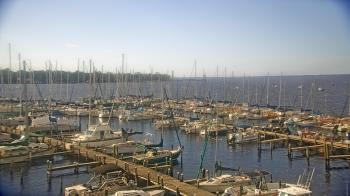 Weather camera view of Mandarin Holiday Marina.