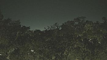 Weather camera view of Metairie Club Gardens.