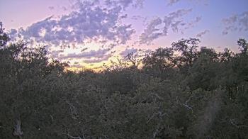 Weather camera view of Metairie Club Gardens.