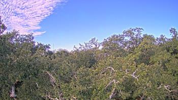 Weather camera view of Metairie Club Gardens.