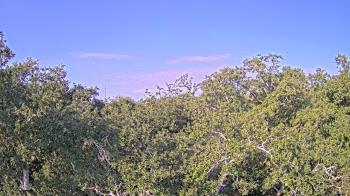 Weather camera view of Metairie Club Gardens.