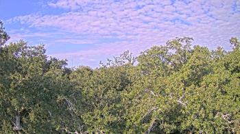 Weather camera view of Metairie Club Gardens.