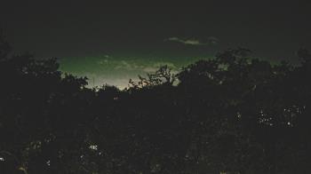 Weather camera view of Metairie Club Gardens.