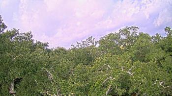 Weather camera view of Metairie Club Gardens.