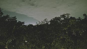 Weather camera view of Metairie Club Gardens.