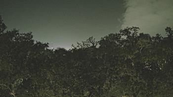 Weather camera view of Metairie Club Gardens.