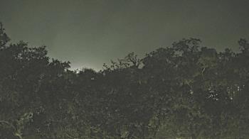 Weather camera view of Metairie Club Gardens.