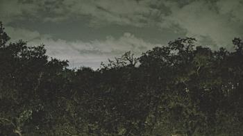 Weather camera view of Metairie Club Gardens.