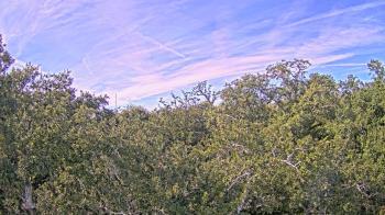 Weather camera view of Metairie Club Gardens.