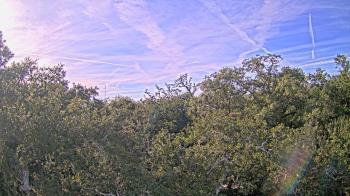 Weather camera view of Metairie Club Gardens.