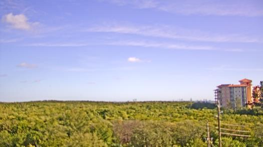 Weather camera view of WTSP-TV.