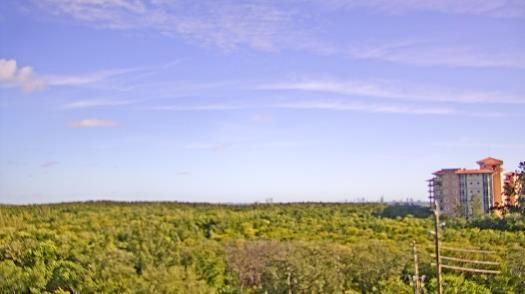 Weather camera view of WTSP-TV.