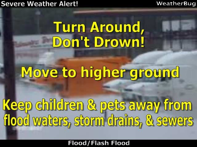 Watch vs. Warning