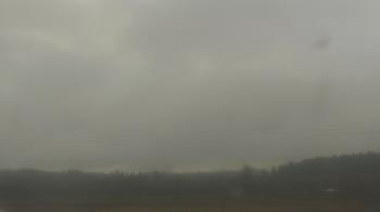 Weather camera view of City of Banks Public Library.