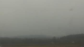 Weather camera view of City of Banks Public Library.