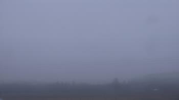 Weather camera view of City of Banks Public Library.