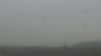 Weather camera view of City of Banks Public Library.