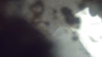 Weather camera view of James River HS.