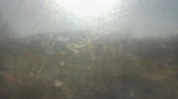 Weather camera view of Big Island Elementary School.