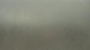 Weather camera view of F L Templeton Preparatory Academy.