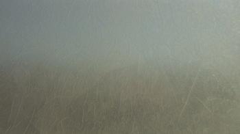 Weather camera view of F L Templeton Preparatory Academy.