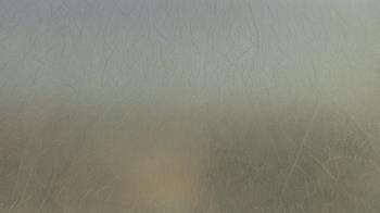 Weather camera view of F L Templeton Preparatory Academy.