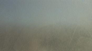 Weather camera view of F L Templeton Preparatory Academy.