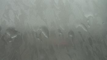 Weather camera view of F L Templeton Preparatory Academy.