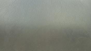 Weather camera view of F L Templeton Preparatory Academy.