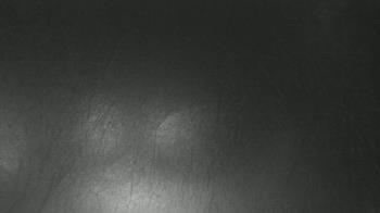 Weather camera view of F L Templeton Preparatory Academy.