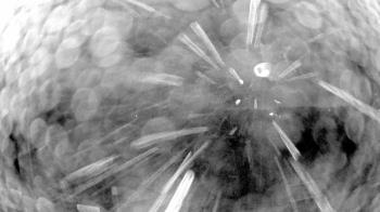 Weather camera view of Truist Sports Park.