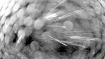 Weather camera view of Truist Sports Park.