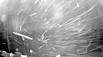 Weather camera view of Truist Sports Park.