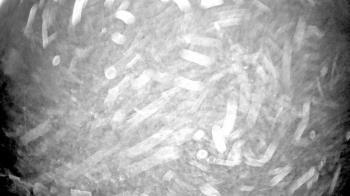 Weather camera view of Truist Sports Park.