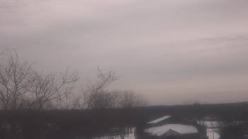 Weather camera view of St Ambrose School.