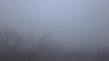 Weather camera view of St Ambrose School.