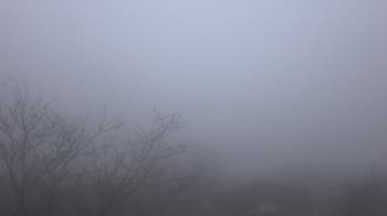 Weather camera view of St Ambrose School.