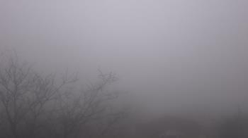 Weather camera view of St Ambrose School.