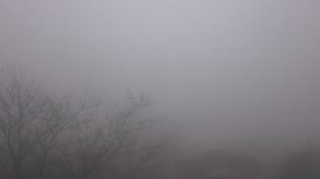 Weather camera view of St Ambrose School.