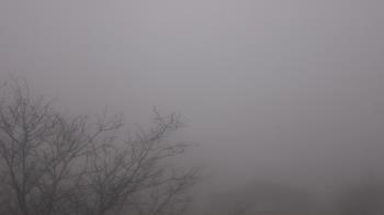 Weather camera view of St Ambrose School.