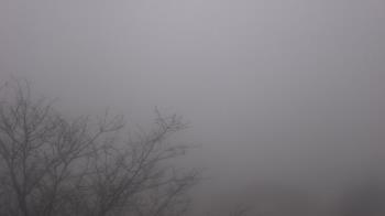 Weather camera view of St Ambrose School.