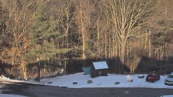 Weather camera view of John Dorr Nature Lab-Horace Mann School.