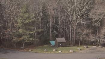 Weather camera view of John Dorr Nature Lab-Horace Mann School.