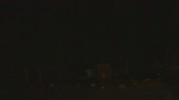 Weather camera view of John Dorr Nature Lab-Horace Mann School.