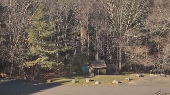 Weather camera view of John Dorr Nature Lab-Horace Mann School.