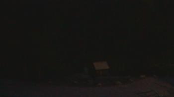 Weather camera view of John Dorr Nature Lab-Horace Mann School.