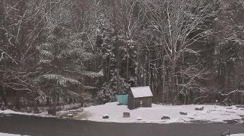 Weather camera view of John Dorr Nature Lab-Horace Mann School.