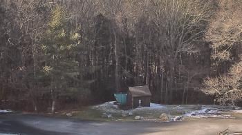 Weather camera view of John Dorr Nature Lab-Horace Mann School.