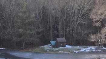 Weather camera view of John Dorr Nature Lab-Horace Mann School.